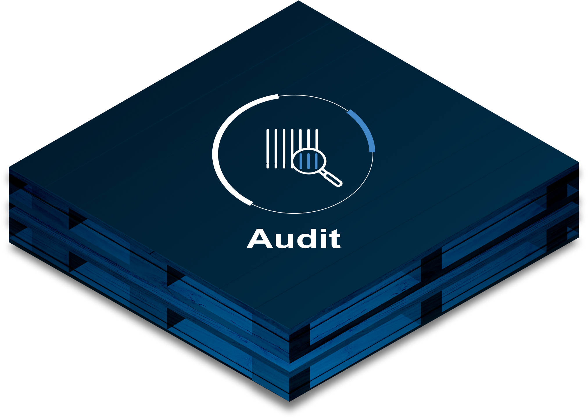 Audit